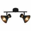 Спот Arte Lamp BALTIMORE A1406AP-2BK