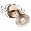 Спот Arte Lamp FOCUS A5219AP-1AB