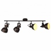 Спот Arte Lamp MARTIN A5215PL-4BR