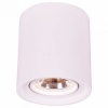 Накладной светильник Arte Lamp Tubo A9262PL-1WH