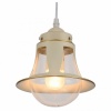 Подвесной светильник Arte Lamp 7022 A7022SP-1WG